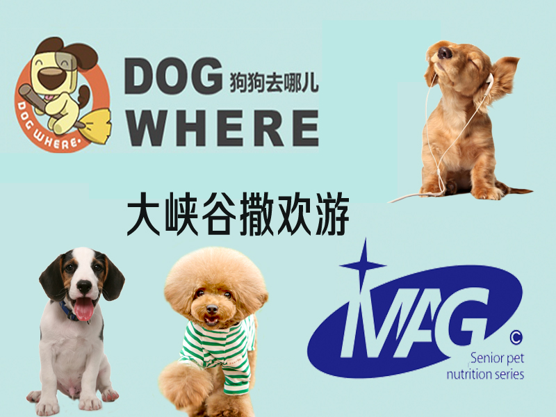 MAG带狗狗撒欢大峡谷，开启情感消