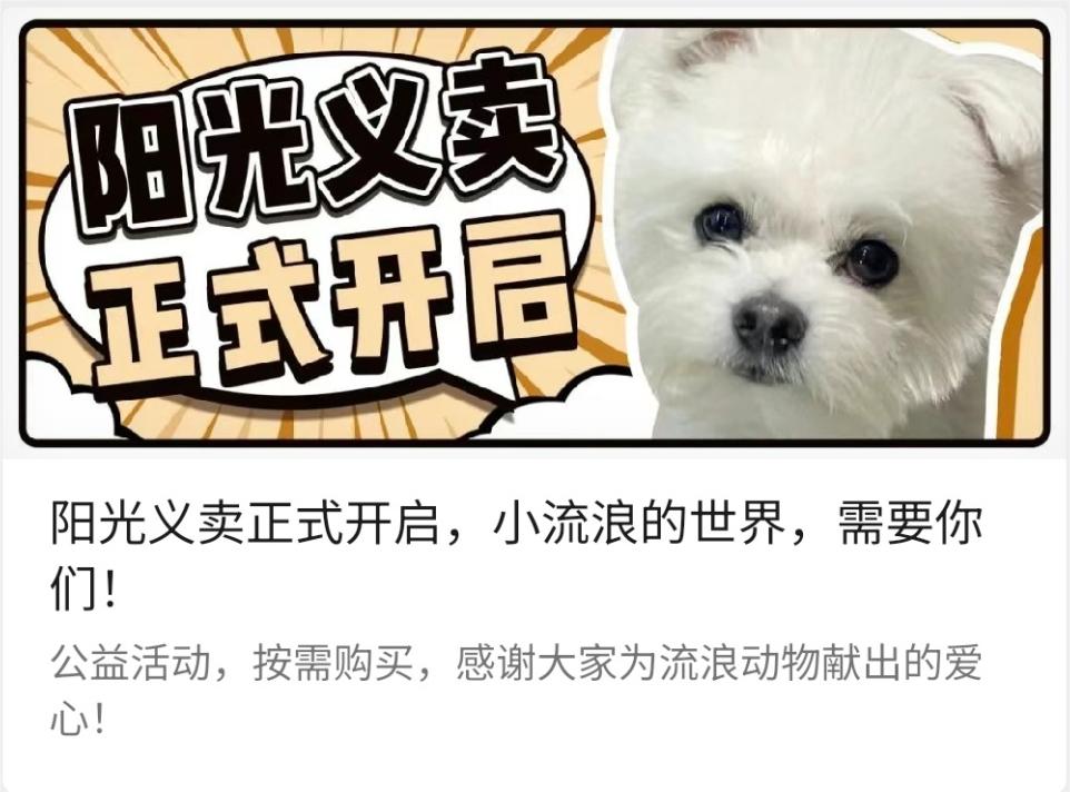 MAG品牌&斜对面的老阳，阳光义