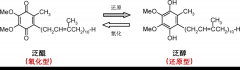 辅酶Q10——从人类医学到宠物健康